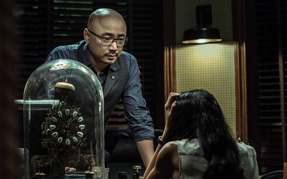 Wanda Unveils its 2014 Line-up