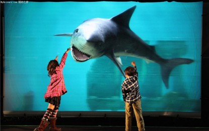 Cameron Pace Group to Localize the Glass-free 3D Technology in China